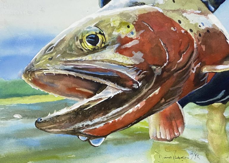 Watercolour painting of salmon up close