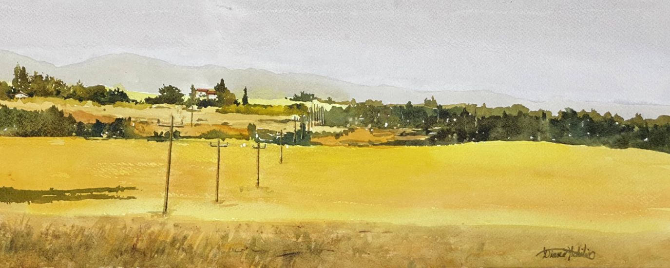 Watercolour painting of yellow field
