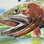 Watercolour painting of salmon up close